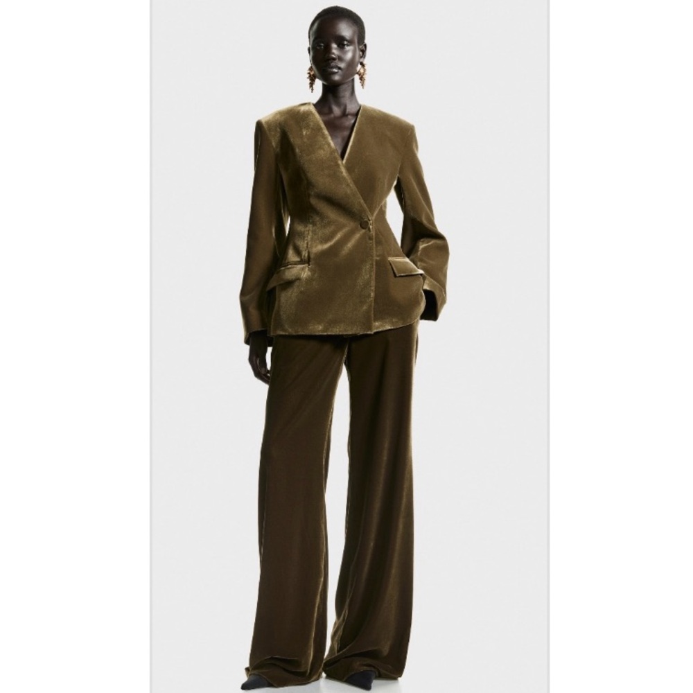 H&M Velvet Bell Flair Pants.